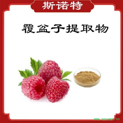 白桦茸提取物10:1 白桦茸粉 白桦茸速溶粉 斯诺特生物