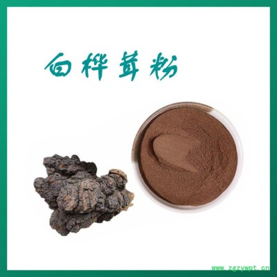 白桦茸粉 水溶 可定制 白桦茸提取物厂家