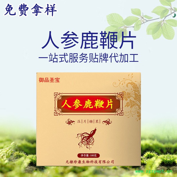 成人男性食品鹿鞭片 黄精牡蛎肽人参蛹虫草 片剂贴牌代加工oem 成人男性食品鹿鞭片 黄精牡蛎肽人参蛹虫草 片剂贴牌代加工oem