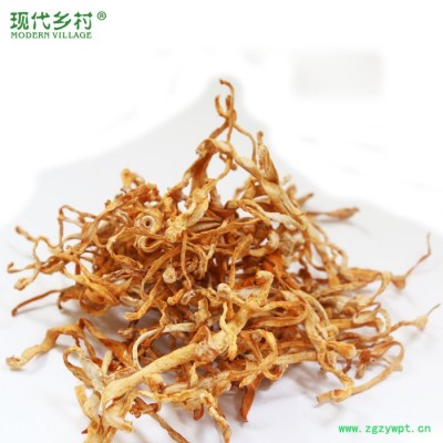 虫草花 干货 云南特产虫草花 蛹虫草 北虫草 干品 散货 50克