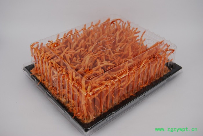 【中滨】(zhongbin) ZB-XC2520 北虫草 虫草花 蛹虫草 鲜草 吸塑盒