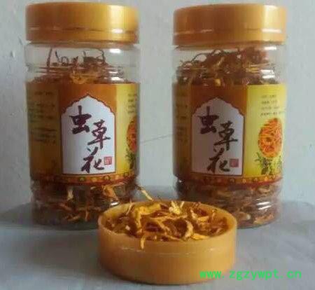 虫草花包邮会销礼品1-5元 虫草花包邮会销礼品1-5元