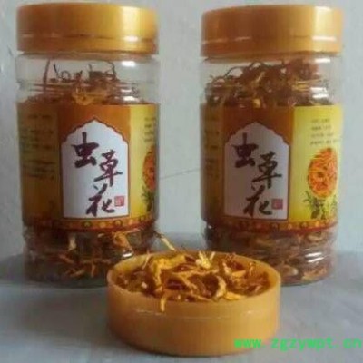 虫草花包邮会销礼品1-5元