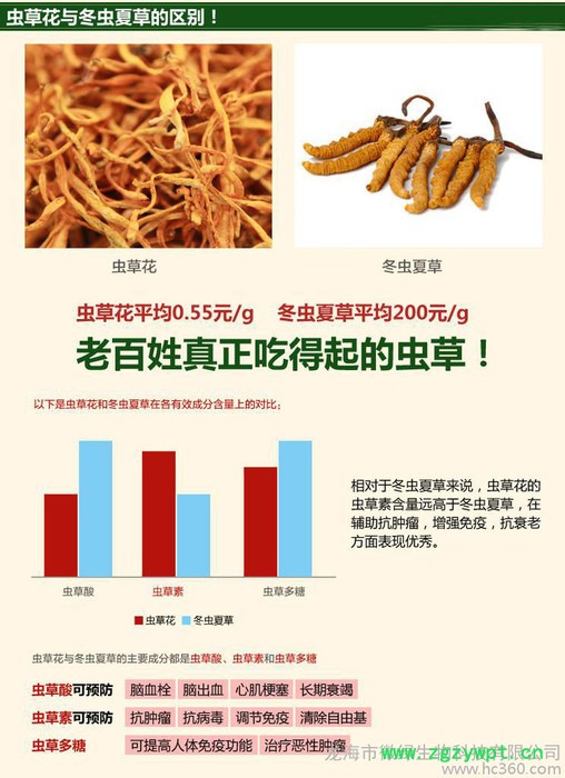 供应增强免疫力吃虫草花 细数虫草花的14大功效