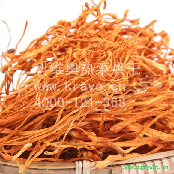 供应科维奥虫草花烘干 虫草花烘干箱 热泵烘干设备