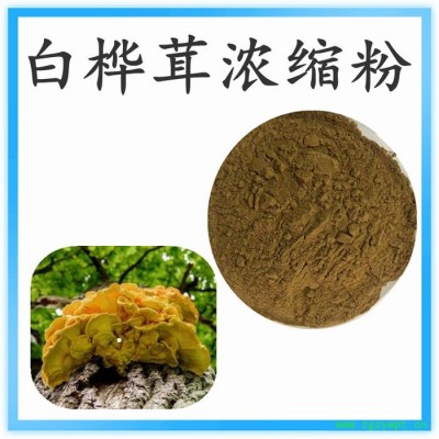 白桦茸粉   可定制  水溶性  白桦茸浓缩粉厂家