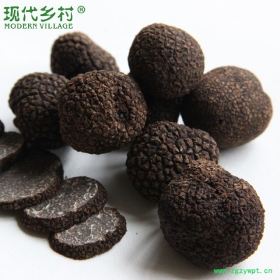 新鲜黑松露 云南**松露块菌 猪拱菌冰冻松露菌菇500克5-6cm