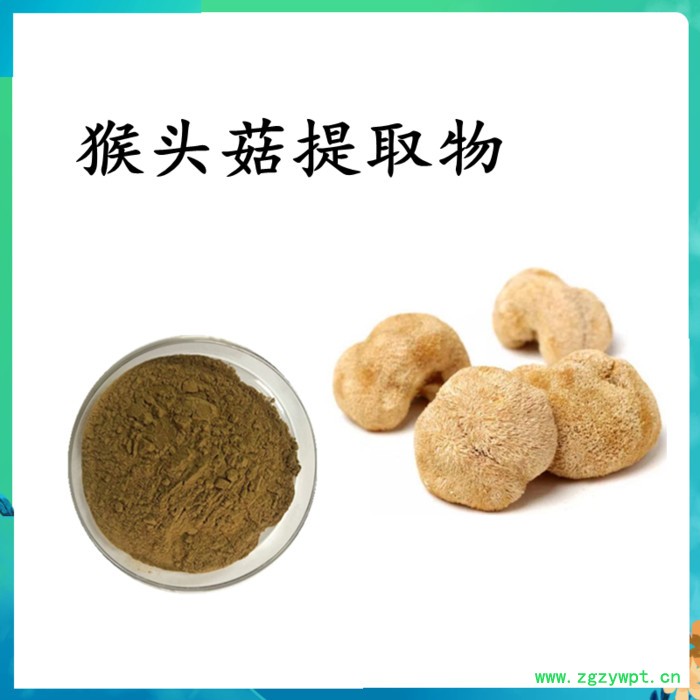猴头菇提取物  水溶 可定制 猴头菇浓缩粉 猴头菇提取物  水溶 可定制 猴头菇浓缩粉