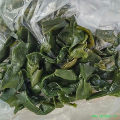 晓晨海产  海带结小结 荣成**盐渍海带扣半干货新鲜昆布条片厚海带结  欢迎来电咨询