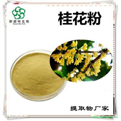 斯诺特 灰树花喷雾干燥粉 灰树花浸膏粉 厂家发货