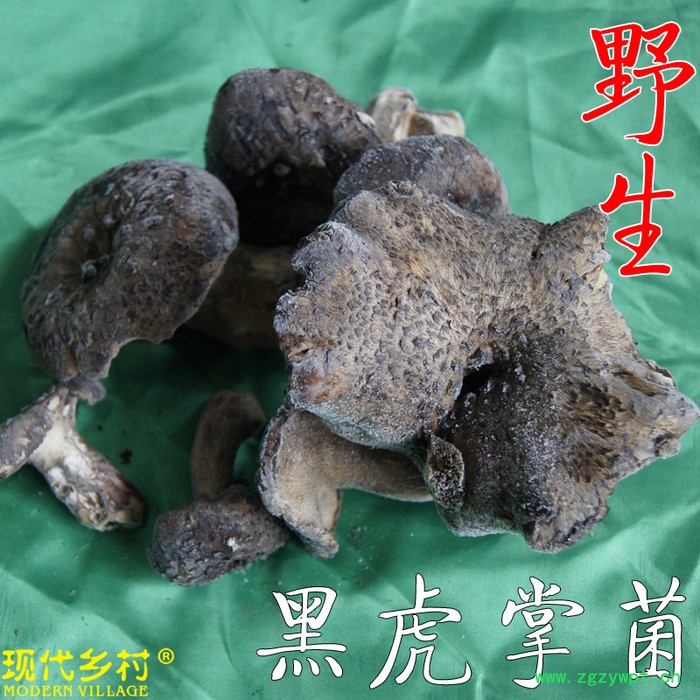 云南土特产**黑虎掌菌 速冻虎掌菌 黑虎掌菌食用菌菇1000克蘑