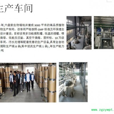 灰树花浓缩粉 水溶 六盘韵 可定制 源头厂家