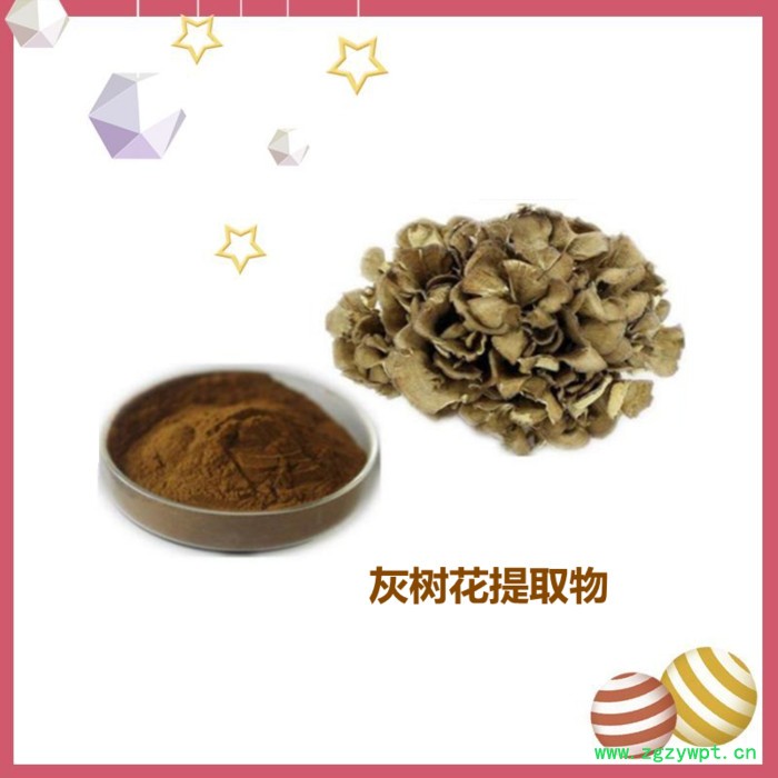 斯诺特 灰树花提取物 灰树花葡聚糖 灰树花糖肽 斯诺特 灰树花提取物 灰树花葡聚糖 灰树花糖肽