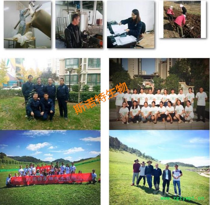 乌梢蛇浸膏粉  动物提取物  乌梢蛇浓缩粉  生产厂家包邮 乌梢蛇浸膏粉  动物提取物  乌梢蛇浓缩粉  生产厂家包邮