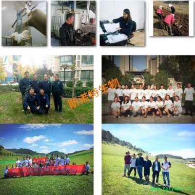 乌梢蛇浸膏粉  动物提取物  乌梢蛇浓缩粉  生产厂家包邮