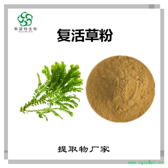 牛黄速溶粉 牛黄浓缩粉 生产厂家 斯诺特 牛黄速溶粉 牛黄浓缩粉 生产厂家 斯诺特