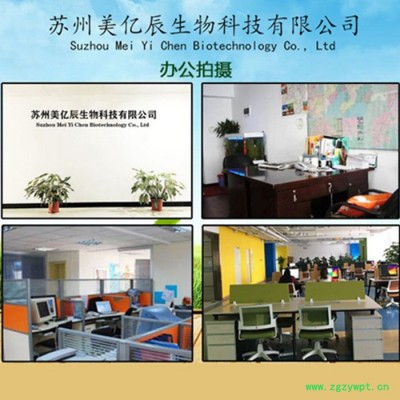 美亿辰 地龙蛋白肽 蚯蚓蛋白粉 地龙蛋白粉 现货批发