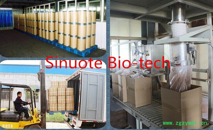 地龙蛋白80% 新资源食品  地龙粉  地龙提取物 斯诺特生物 地龙蛋白80% 新资源食品  地龙粉  地龙提取物 斯诺特生物