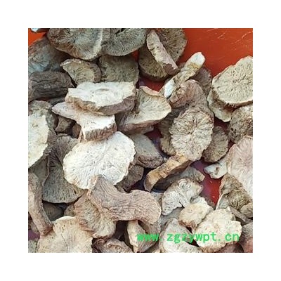 菊苣 菊苣根片   统货 产地 甘肃省