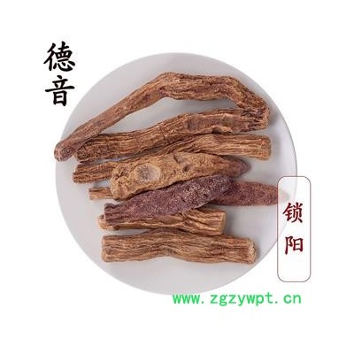 【满包邮】锁阳 统个 产地 内蒙古 买好货 选德音  1000g 中药材批发 规格齐全