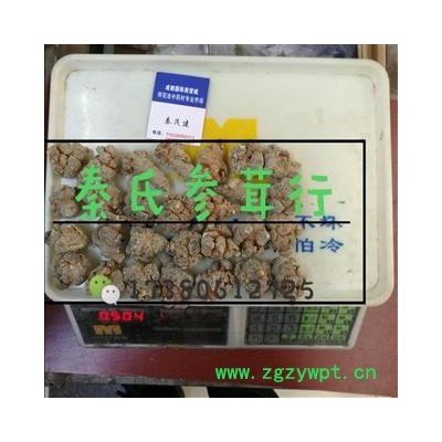 三七28头 水洗三七 标准28头春七  水洗 未打蜡 （1斤正好28个）( 下单送量勺 ) 产地直销 云南省文山壮族苗族自治州文山县