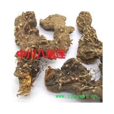 中川野生八角莲  产地四川  库存500可售