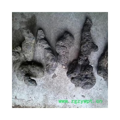 优质猪屎苓 猪苓选货 一级 产地直销 中药材批发供应