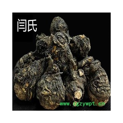 玛咖 二级黑玛咖 产地 云南省丽江市玉龙纳西族自治县