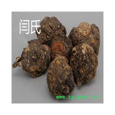 玛咖  国产紫玛咖 产地 云南省丽江市玉龙纳西族自治县