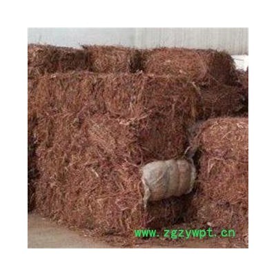 桑白皮 统 四川省