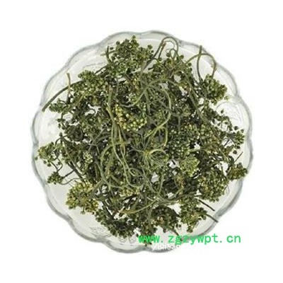 人参 人参花统货 产地 吉林省白山市