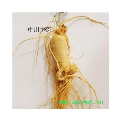 产地直销  人参生晒参大条 八年生 18-20支无硫原皮人参