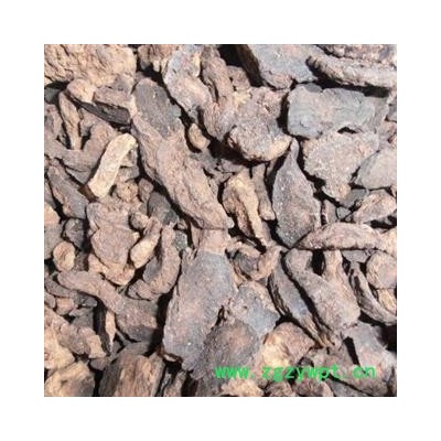 地黄 统 产地 河南省焦作市温县