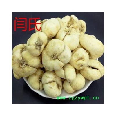 浙贝母 浙贝母统货