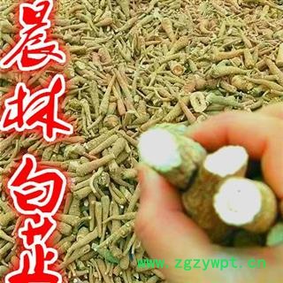 川白芷之遂宁白芷红皮无硫小统货 道地白芷 常年有大货 产地直销 遂宁市船山区 川白芷之遂宁白芷红皮无硫小统货 道地白芷 常年有大货 产地直销 遂宁市船山区