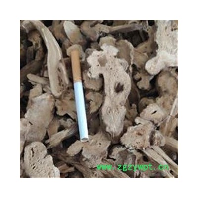 白术 统 产地 浙江省