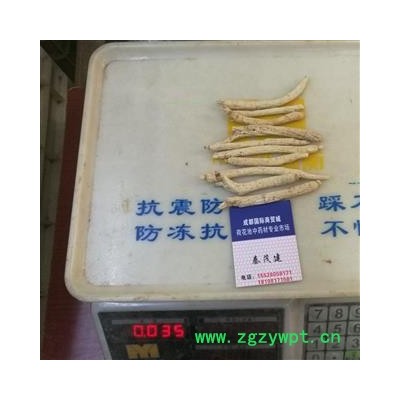 西洋参国产3克长支 国产西洋参3克长支 产地 吉林省白山市抚松县