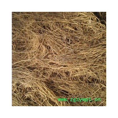 辽细辛 水洗  净货 产地 辽宁省抚顺市新宾满族自治县