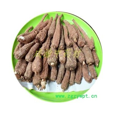 红皮白芷  四级货 重庆市产