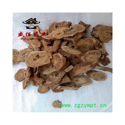 木香 选 产地 云南省楚雄彝族自治州南华县