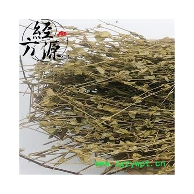 川龙胆草 龙胆（南龙胆）统 产地四川