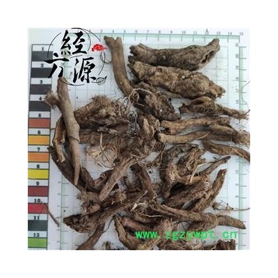 虎掌草TD 溪畔银莲花 见风青 见风蓝 统段 产地云南