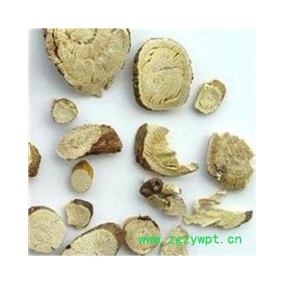 苦参 苦参统片 产地 河北省