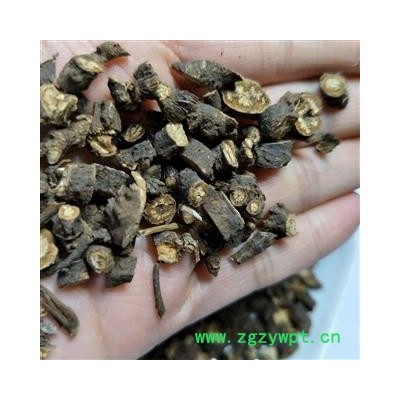 柴胡 高质量海拉尔黑柴胡 产地 内蒙古自治区