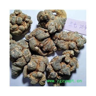 三七 三七20头 产地 云南省