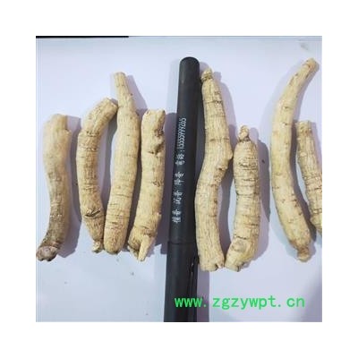 西洋参 新到西洋参个，纯干无硫磺无虫蛀无药残留实物拍摄 产地 吉林省