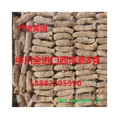 西洋参  全进口8克  产地美国  库存500可售