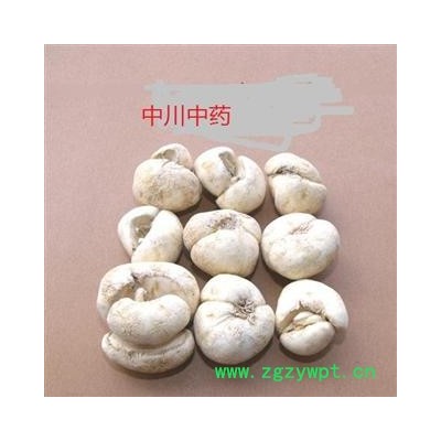 浙贝母，浙江精选大颗粒，库存5000可售