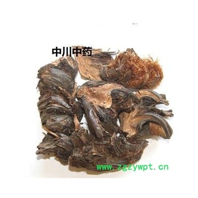 贯众  四川一级统货  库存5000可售