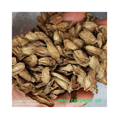 牛蒡茶 产地直销新货炒牛蒡茶小片大小匀称 产地 山东省